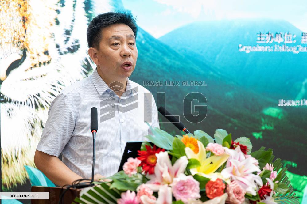 CHINA-HEILONGJIANG-HARBIN-FORUM-TIGER AND LEOPARD (CN)