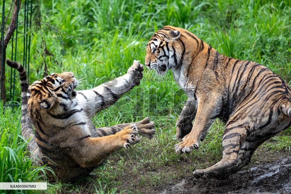 XINHUA PHOTOS OF THE DAY