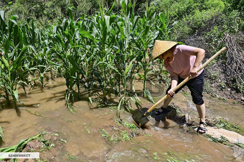 Farmland Waterlogging