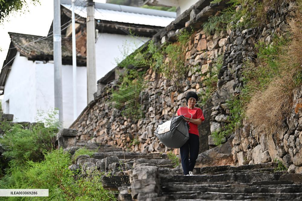 CHINA-SHANXI-CHANGZHI-HOMESTAY OWNER-MILLET FIELDS (CN)