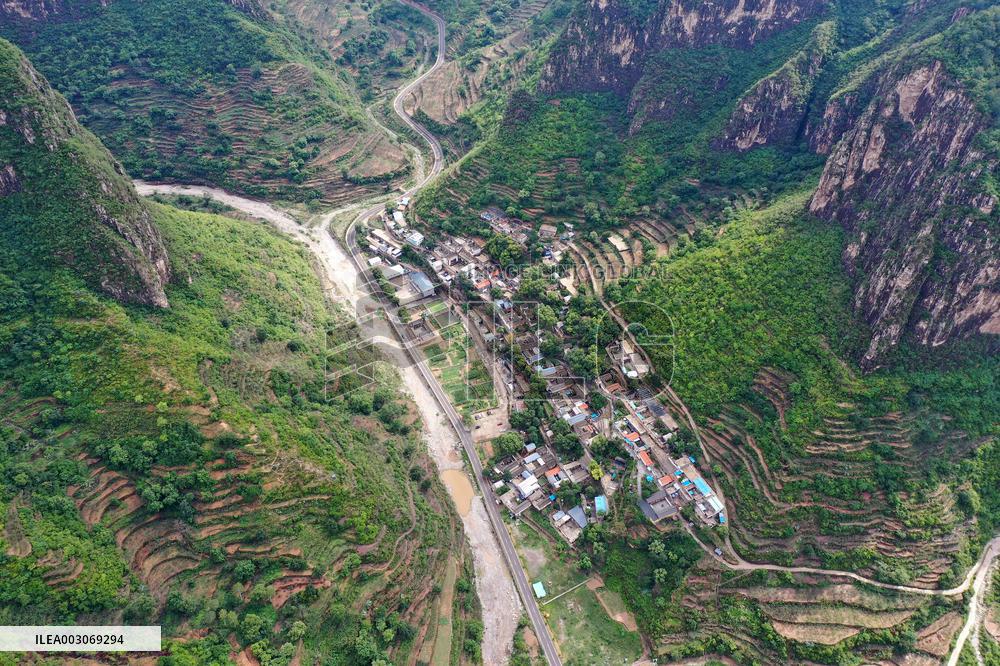 CHINA-SHANXI-CHANGZHI-HOMESTAY OWNER-MILLET FIELDS (CN)