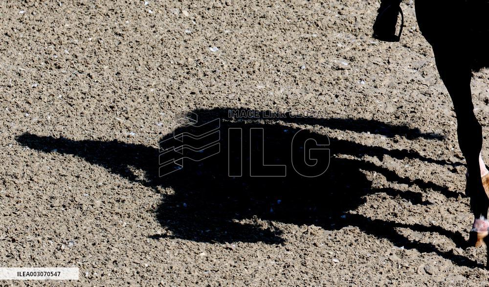 (PARIS2024) FRANCE-VERSAILLES-OLY-EQUESTRIAN