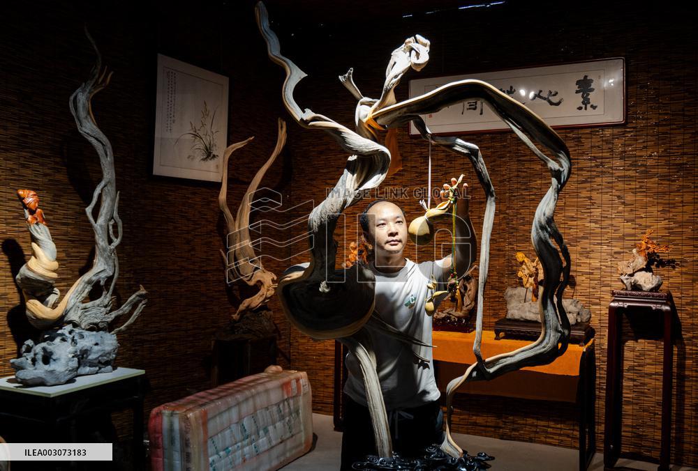 XINHUA PHOTOS OF THE DAY