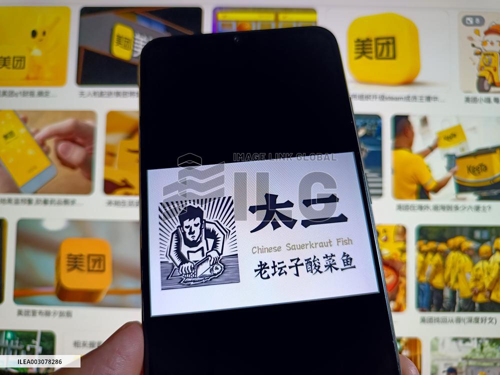 Illustration Chinese Sauerkraut Fish and Meituan