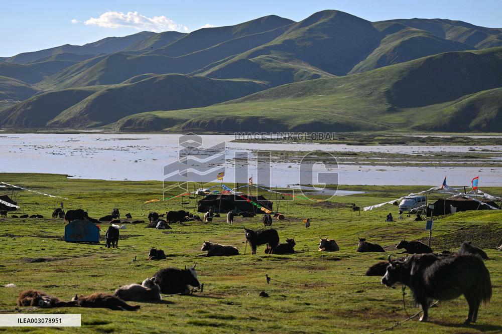 Yellow River Scenery - China