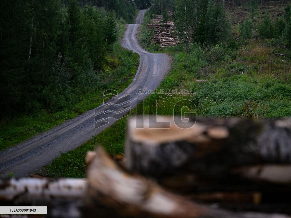 Rally race - Fia World Rally Championship  Wrc Secto Rally Finland  2024