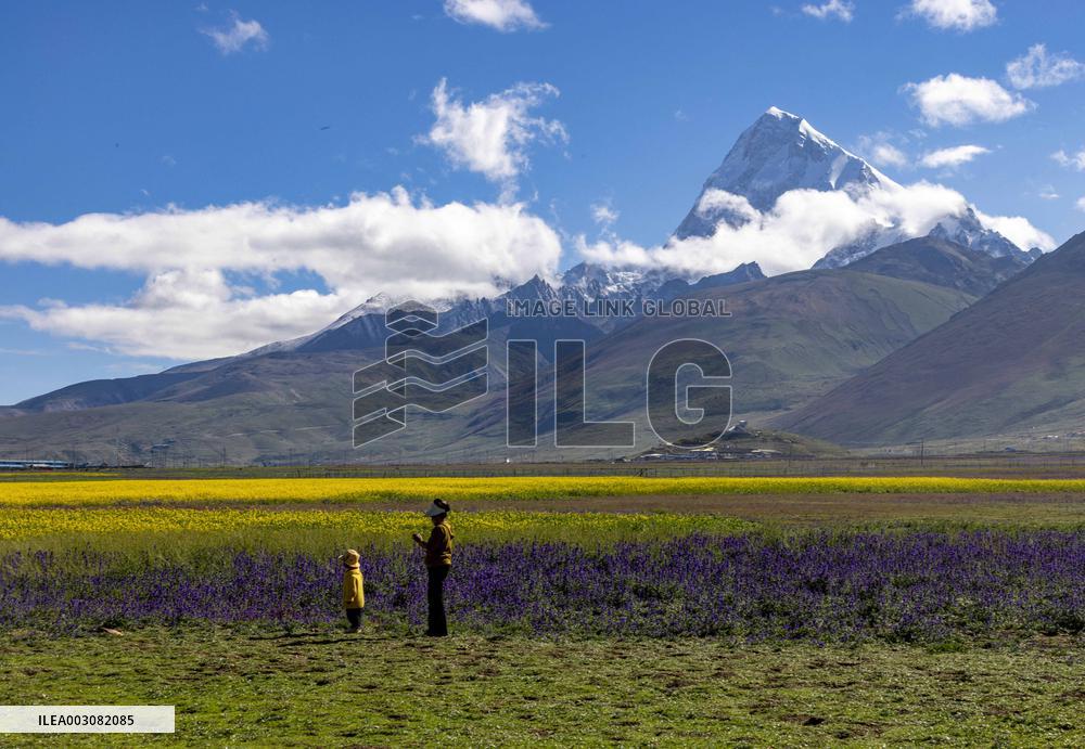 CHINA-XIZANG-MOUNT CHOMOLHARI-SCENERY (CN)