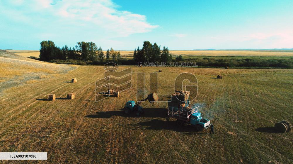 KAZAKHSTAN-AKMOLA-GRASS MOWING SEASON