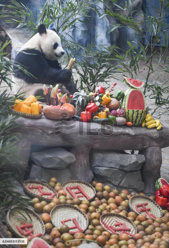 Baby Pandas Enjoy Birthday Feast - China