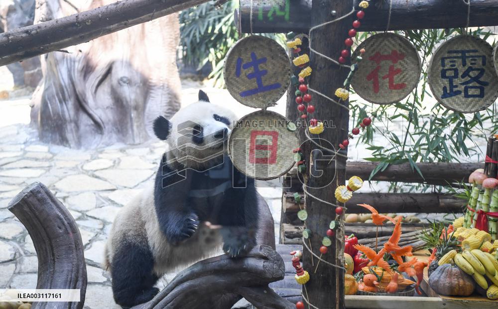 XINHUA PHOTOS OF THE DAY