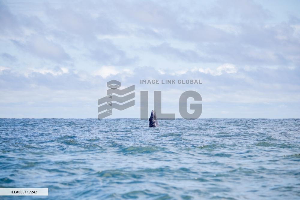 Buenaventura Port Daily Life