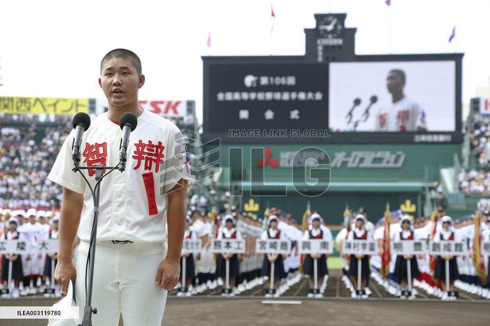 Japan high school baseball tournament