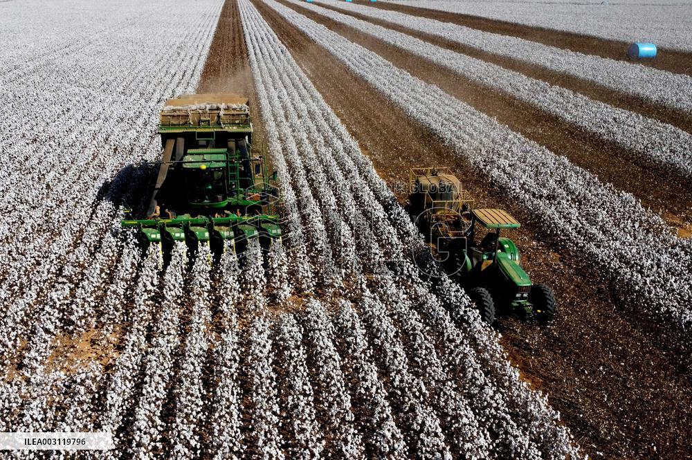 BRAZIL-GOIAS-COTTON-HARVEST