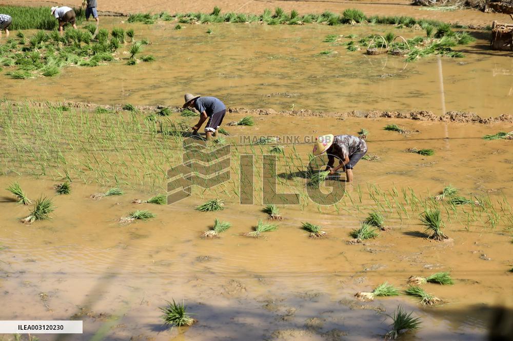 CHINA-HUNAN-HEAVY RAIN-RESTORATION (CN)