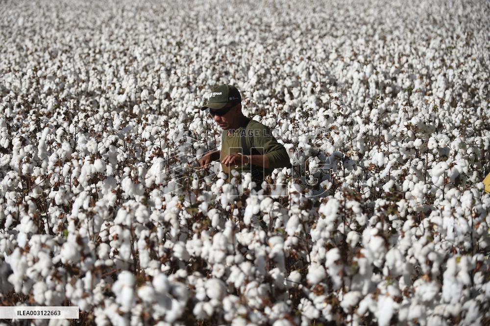 XINHUA PHOTOS OF THE DAY