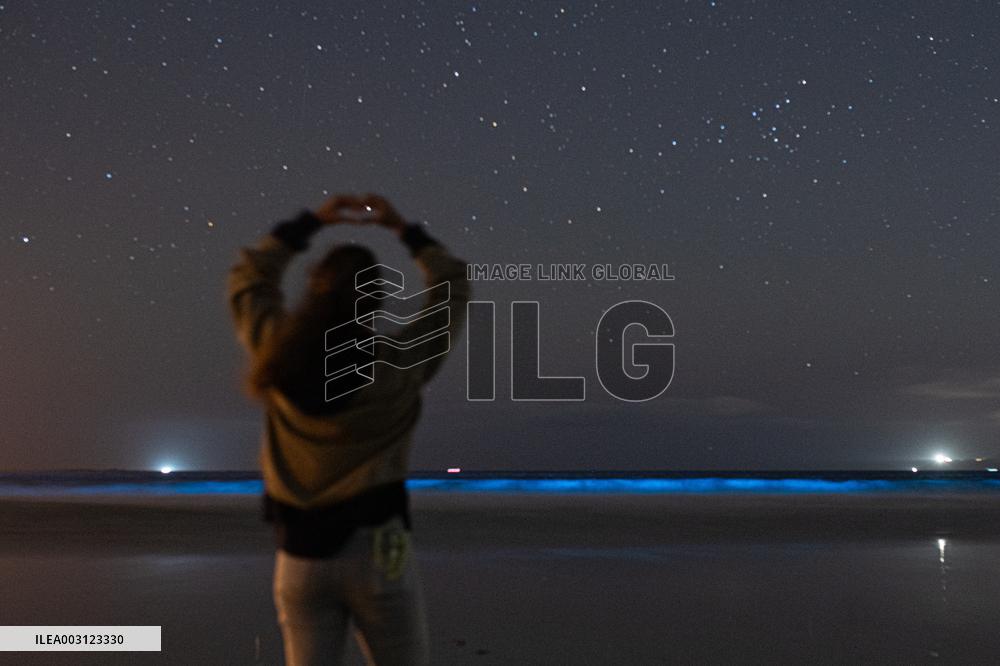 Bioluminescent Plankton Light Up The Galicia Coast - Spain