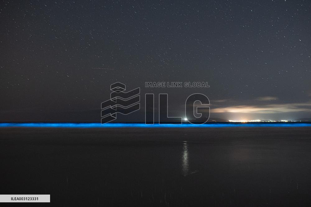 Bioluminescent Plankton Light Up The Galicia Coast - Spain