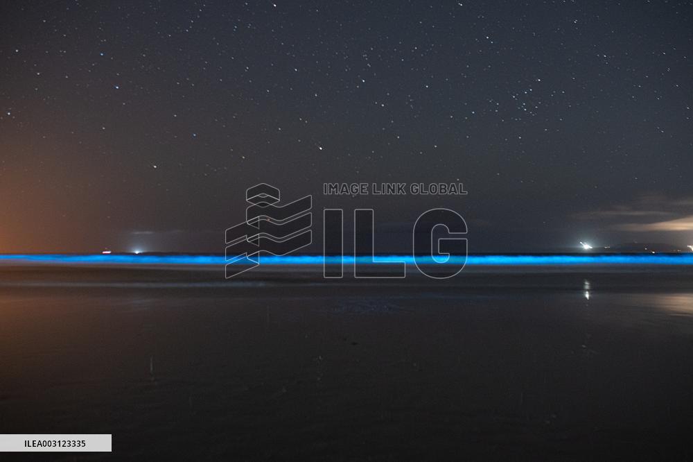 Bioluminescent Plankton Light Up The Galicia Coast - Spain