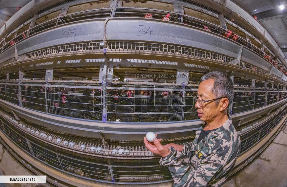 A Poultry Company in Suqian