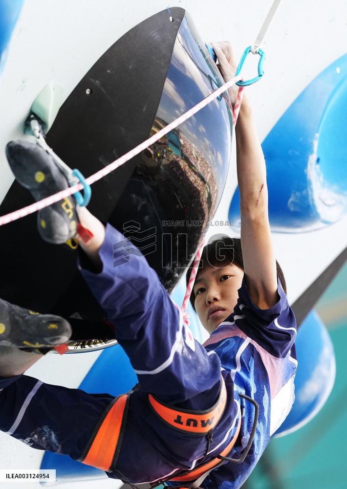 Paris Olympics: Sport Climbing