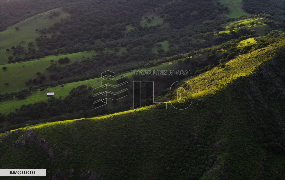 CHINA-INNER MONGOLIA-PASTURE-SUNSET (CN)