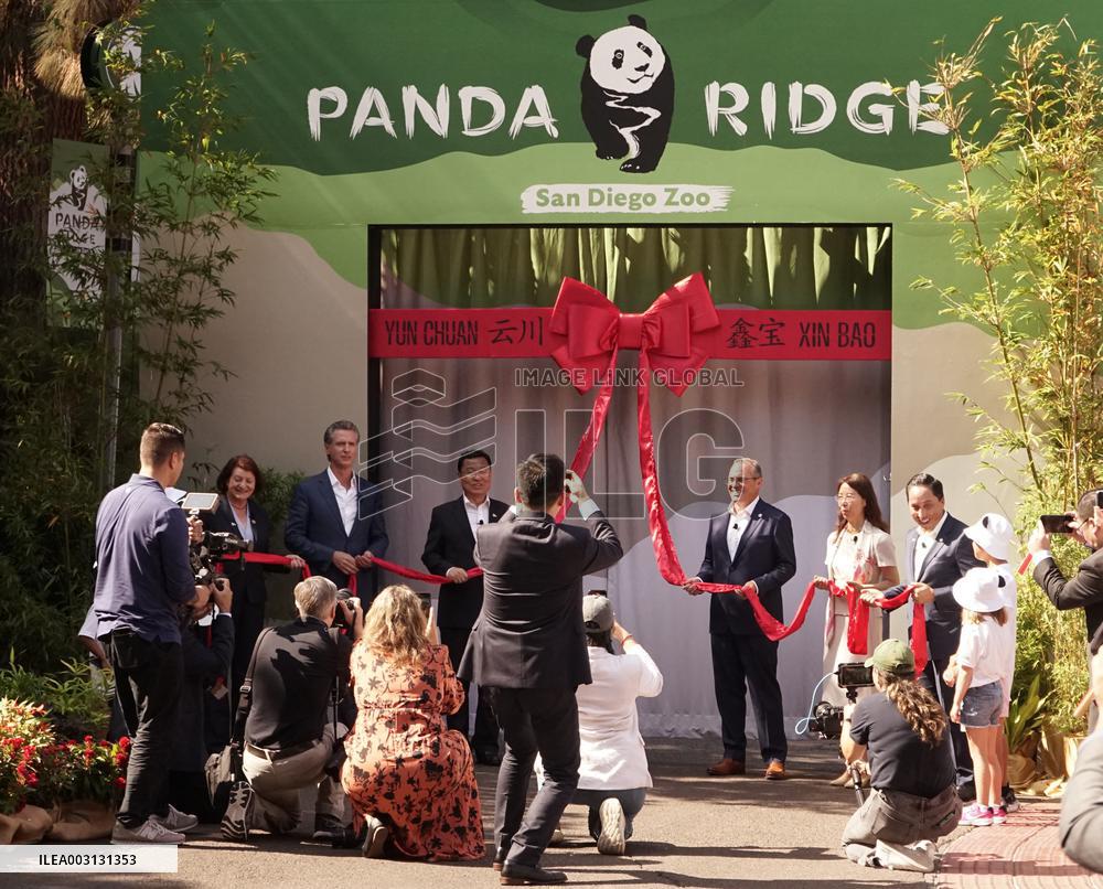 U.S.-CALIFORNIA-SAN DIEGO-PANDA DAY