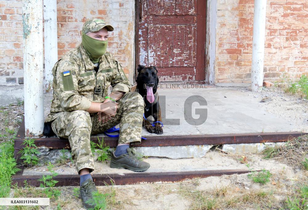Detection dog training in Kyiv