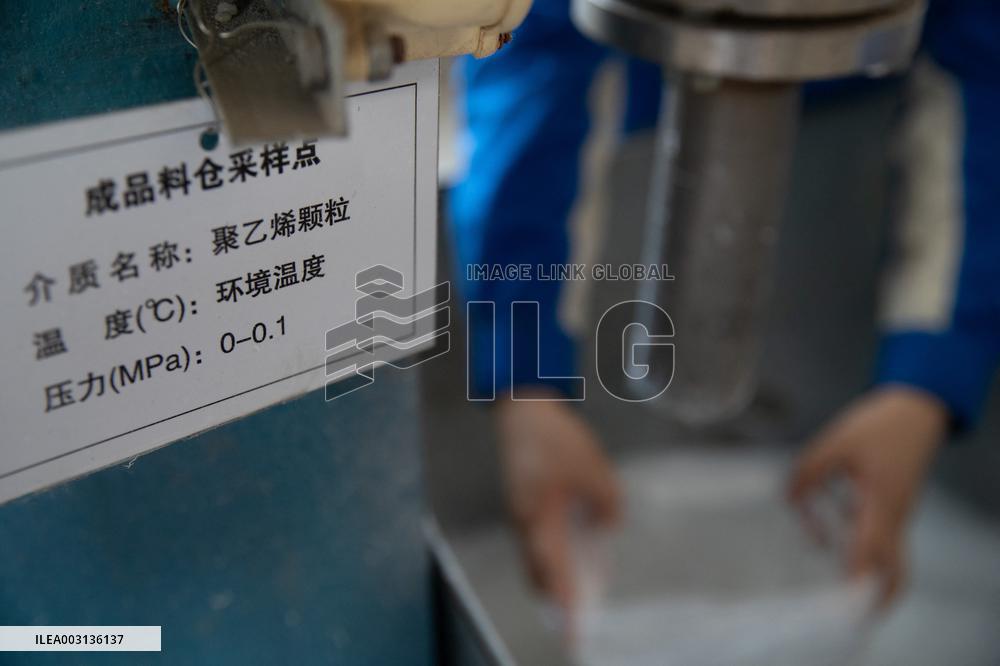 CHINA-NORTHEASTERN PROVINCES-PETROCHEMICAL INDUSTRY-DEVELOPMENT (CN)