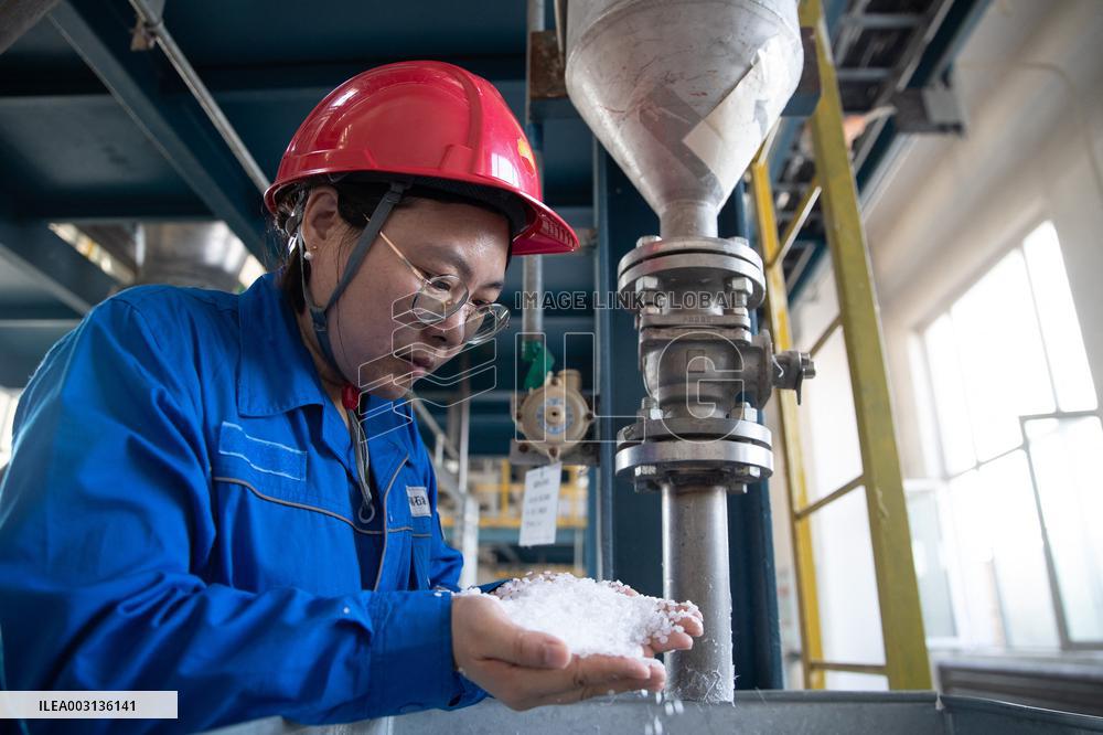 CHINA-NORTHEASTERN PROVINCES-PETROCHEMICAL INDUSTRY-DEVELOPMENT (CN)