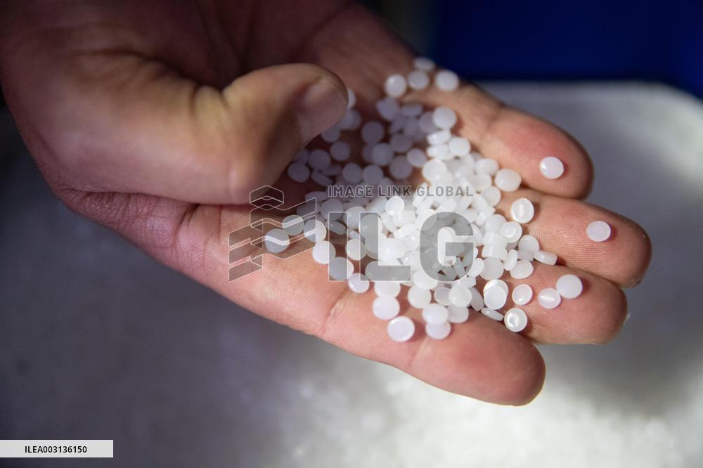 CHINA-NORTHEASTERN PROVINCES-PETROCHEMICAL INDUSTRY-DEVELOPMENT (CN)