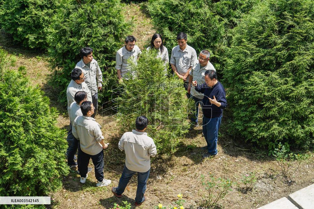 ChineseToday | Guardians of endangered trees in SW China