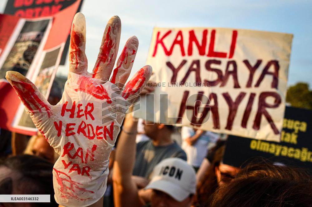 Pro-animal Rights Activists Protest - Istanbul
