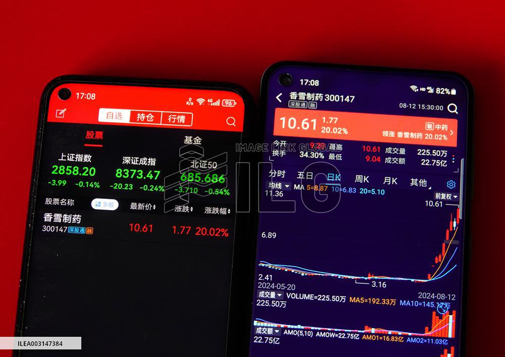 Xiangxue Pharmaceutical