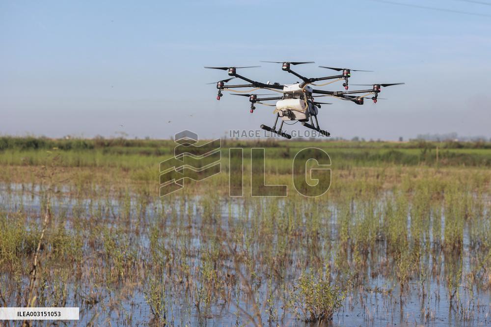 Drone Deployed To Fight Mosquitoes And West Nile Virus - Spain