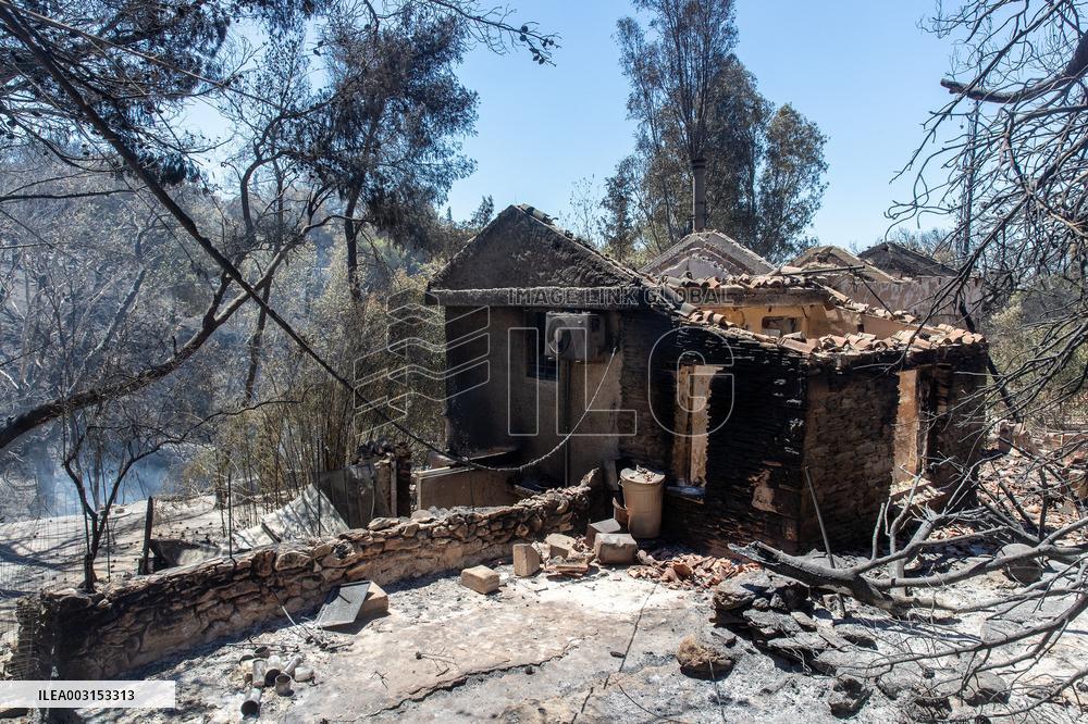 Fires Near Athens Leave A Path Of Destruction - Greece