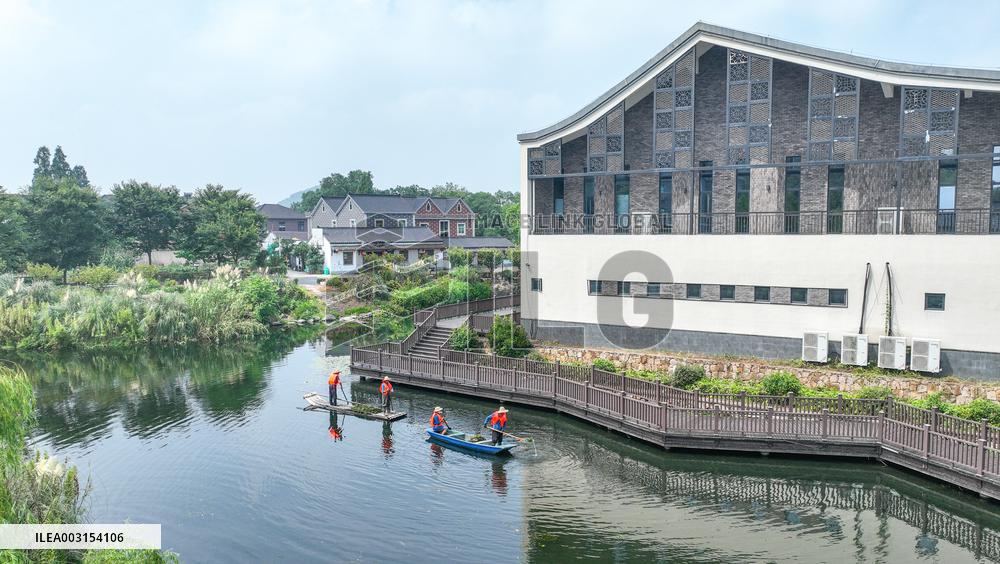 National Ecology Day