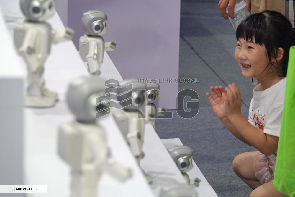 Humanoid Robot Market