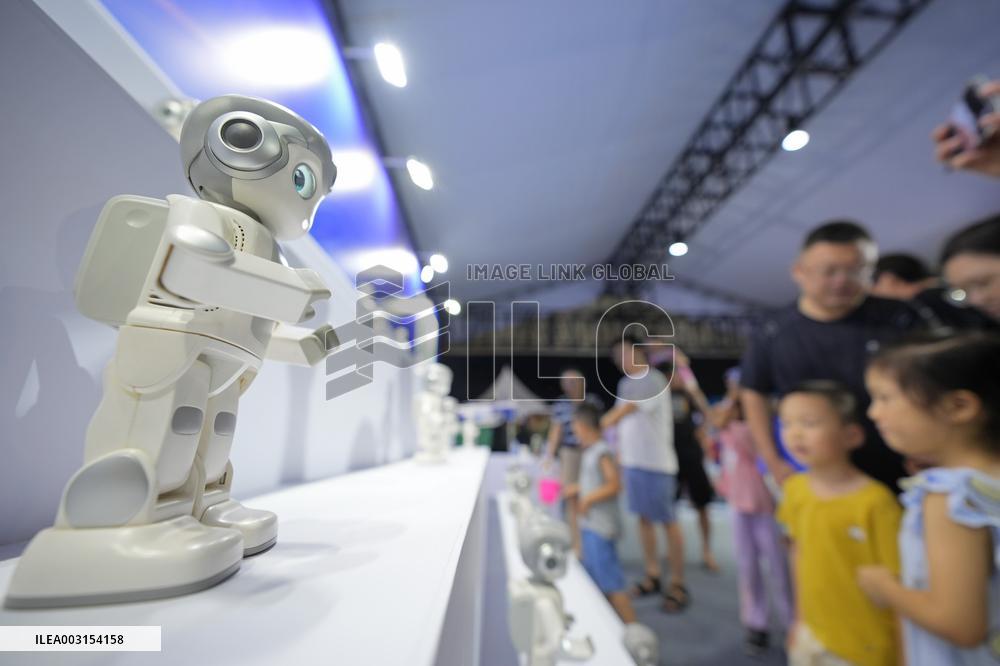 Humanoid Robot Market