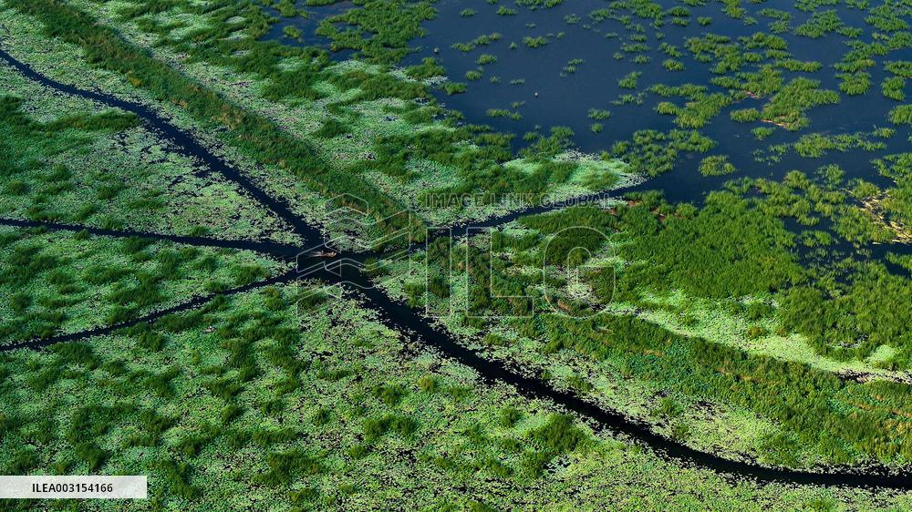 Wetland Park In Shandong Province - China
