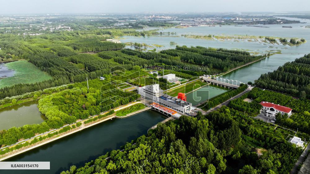 Wetland Park In Shandong Province - China