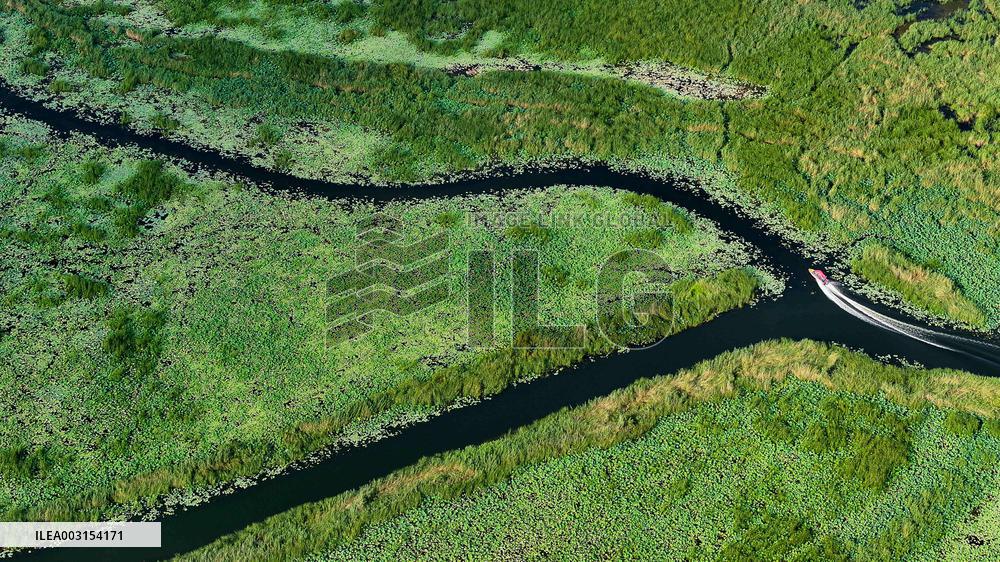 Wetland Park In Shandong Province - China