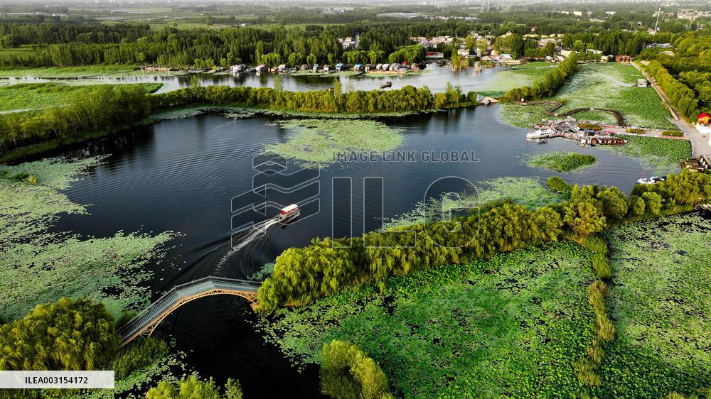 Wetland Park In Shandong Province - China