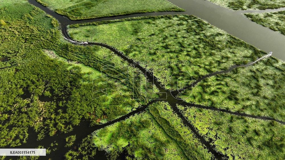 Wetland Park In Shandong Province - China