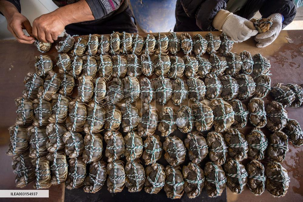 Crab Farming - China