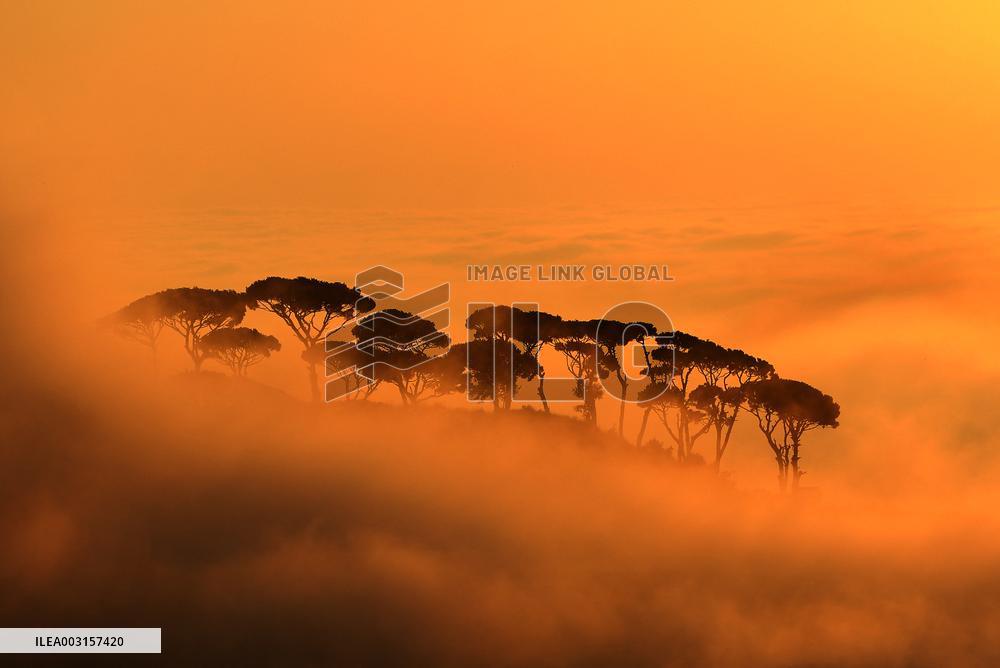 Sunset In Mount Lebanon