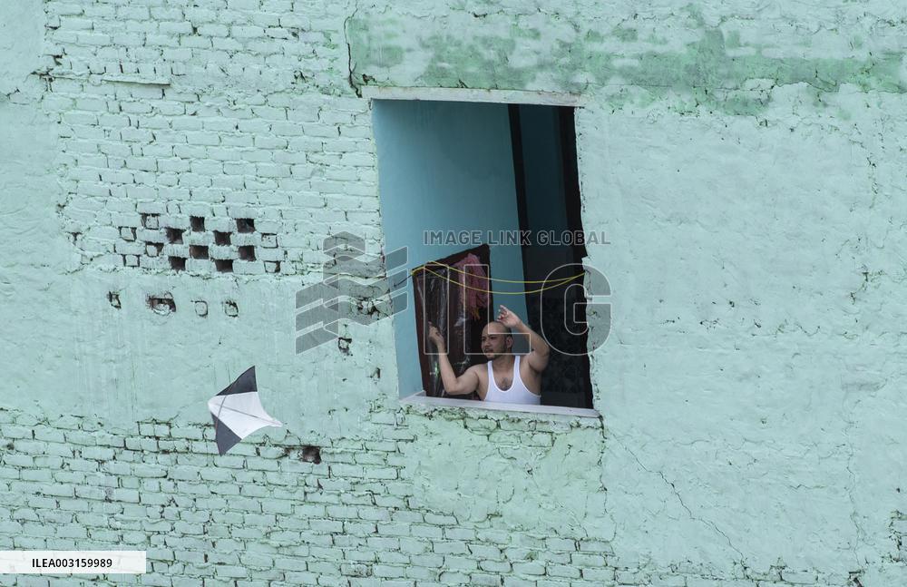 Flying Kites - New Delhi