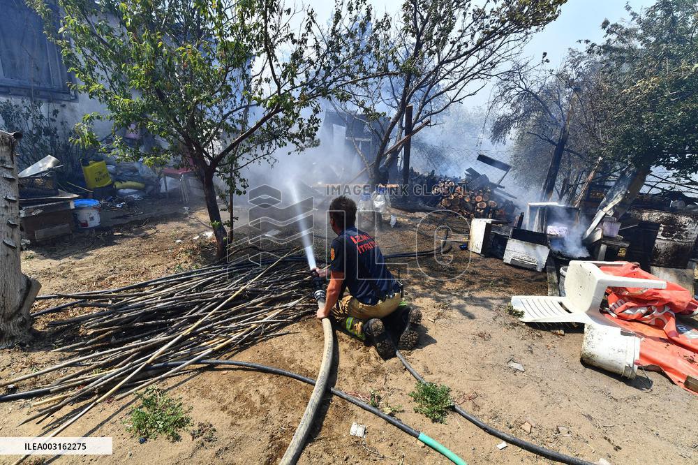 Wildfire In Izmir - Turkey