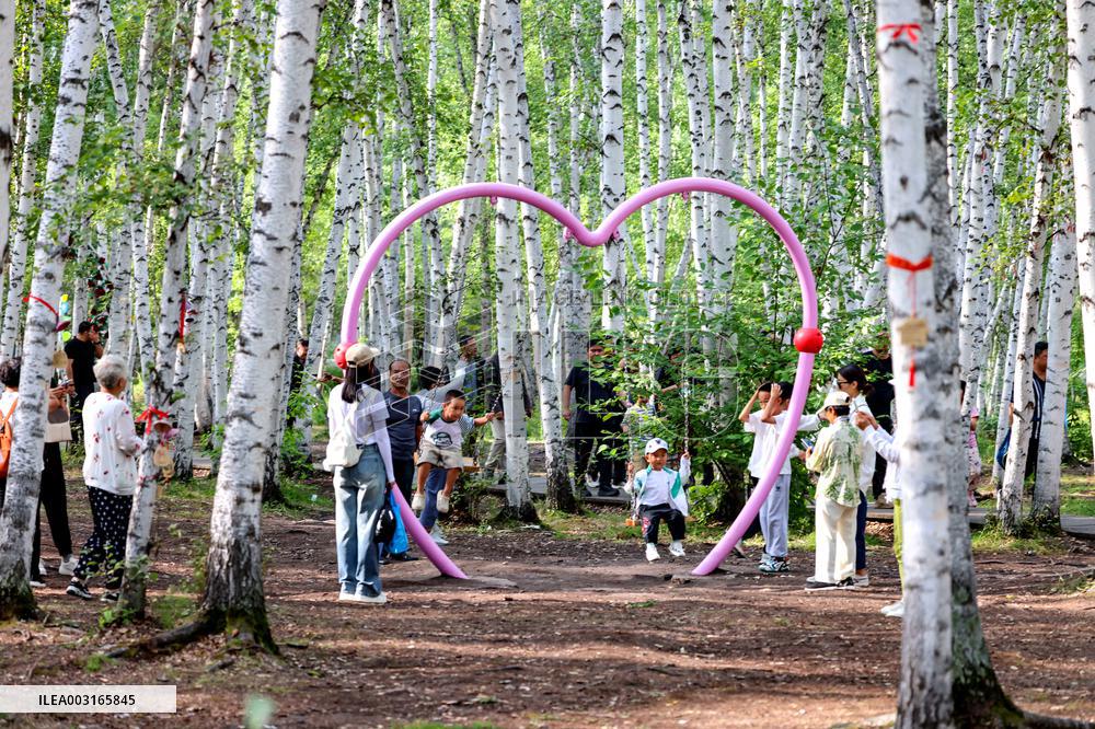 Erguna Birch Forest Scenic Spot in Hulunbuir