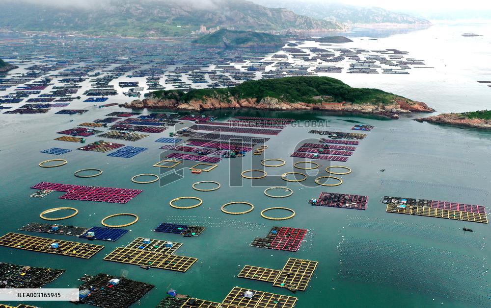 Marine Pastures in Fuzhou