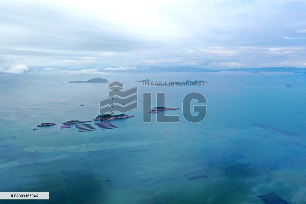 Marine Pastures in Fuzhou